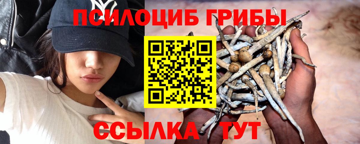 Галлюциногенные грибы мицелий Урус-Мартан